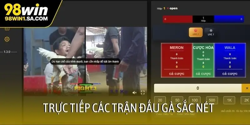 Trực tiếp các trận đấu gà sắc nét