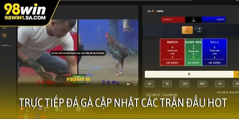 Trực tiếp đá gà cập nhật các trận đấu HOT